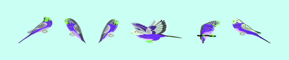 Obraz premium set of budgie. vector illustration