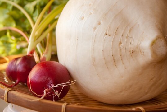 47 Best 丸大根 Images Stock Photos Vectors Adobe Stock