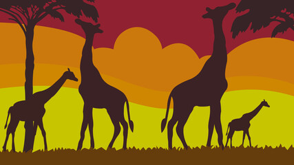 Full frame silhouette family of giraffes in the grassland on the multicolor background.