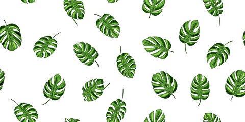  seamless pattern, background from green leaves of monstera on a white background for design, print, textile, raster copy