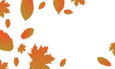 The beautiful vector autumn background with orange leaves