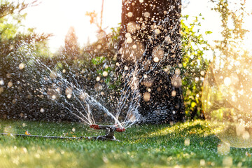Landscape automatic garden watering system with different rotating sprinklers installed on turf....