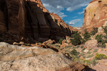 The Red Sandstone Cliffs Along The Waterpocket Fold at The Entrance Into Cohab Canyon, Capitol Reef National Park, Utah, USA