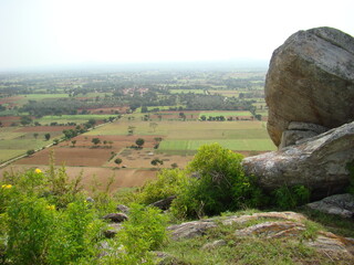 Fototapeta na wymiar Rural india, view of farms