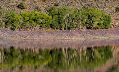 Reflections on the Still Waters of Foryth Reservoir, Dixie National Forest, Utah, USA