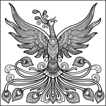 peacock mandala design for coloring page and t-shirt print