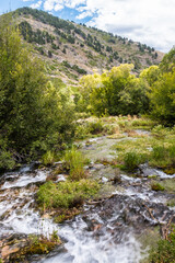 Cascade Springs in The Mount Timpanogos Region, Wasatch Mountains, Utah,USA