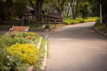 Obraz premium bench in the park