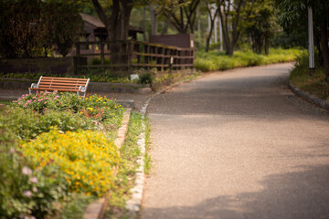bench in the park