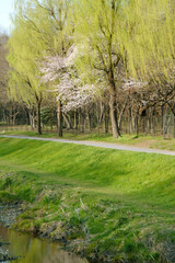 野川公園（東京都三鷹市）