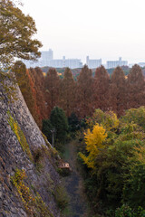 石垣と紅葉と都市風景