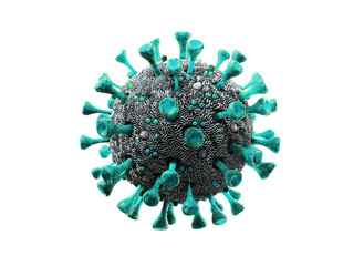 corona virus isolated on white background