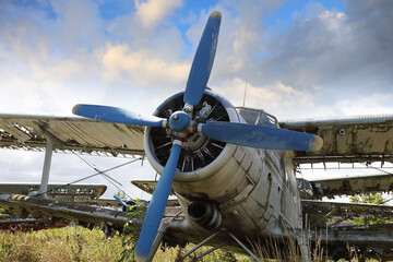 Abandoned and destroyed planes are in the field