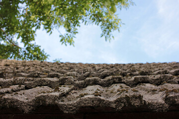 Old tile roof covered with moss, tree branches, and sky. Tile textured background