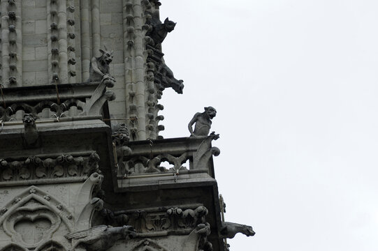 Gargolas de Notre Dame de Paris, antes del Incendio