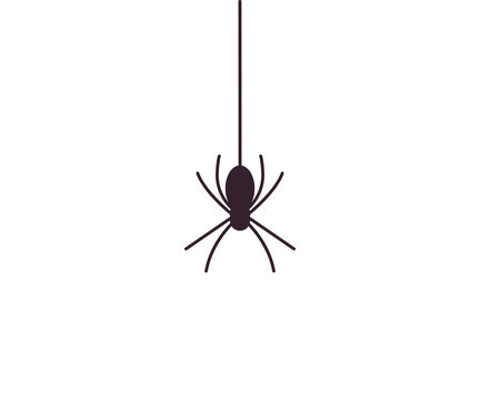 Halloween, monster, spider icon. Vector illustration, flat design.