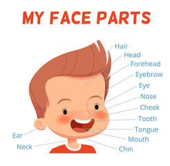 Obraz premium Child learning poster. Parts of the boy's face with signed names. Examining body parts