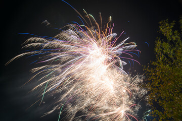 Fireworks salute in the sky