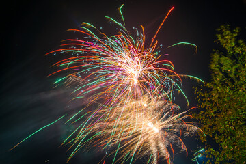 Fireworks salute in the sky
