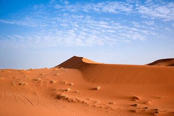 Fototapeta na wymiar Sahara Desert in Marrakech, Morocco