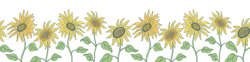 Vector seamless border with nice sunflowers on long stems. Hand drawn vector illustration in flat style with lines on white background. Green and yellow colors.