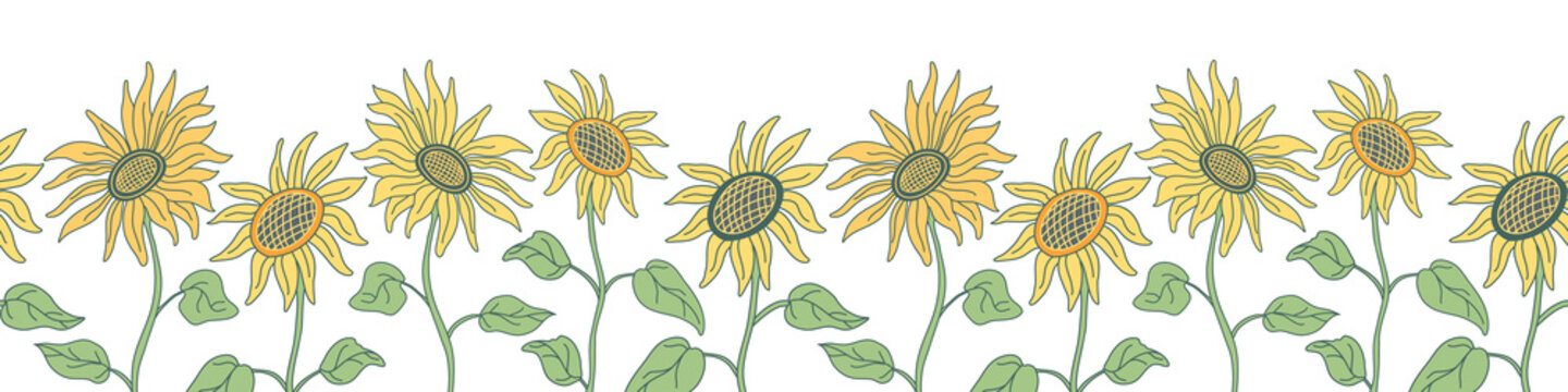 Vector seamless border with nice sunflowers on long stems. Hand drawn vector illustration in flat style with lines on white background. Green and yellow colors.