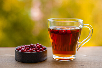 Autumn berry tea. Glass cup of tea with cranberries on a wooden table against the background of yellow trees. 