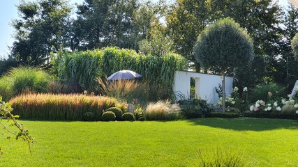 Trawnik w nowoczesnym ogrodzie