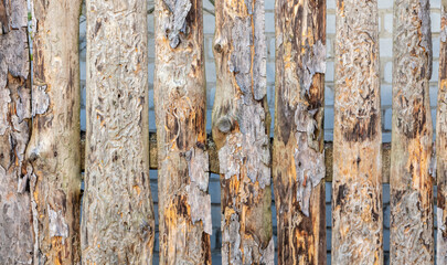 Wooden boards on the fence as an  background.