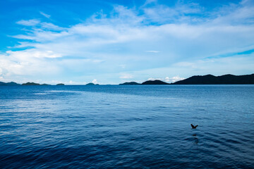 lake and mountains