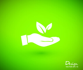 hand holding a young green plant.