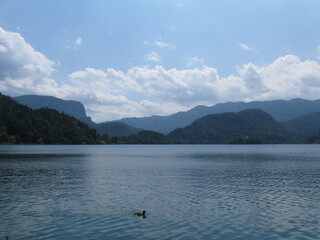 Lake Bled, Slovenia, Julian Alps, Island, Green mountains forest