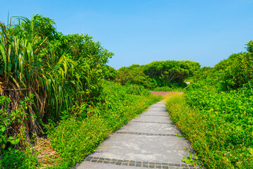 Linshanbi Trail at Sanzhi District in New Taipei City of Taiwan