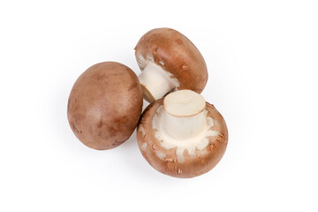Cultivated raw royal champignon mushrooms on a white background
