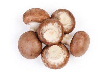 Pile of royal champignon mushrooms on white background, top view