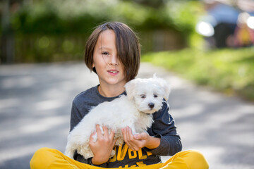 Child, cute boy, playing with dog pet in the park, maltese dog and kid enjoying friendship
