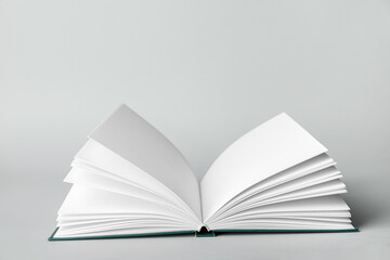Open book on light background