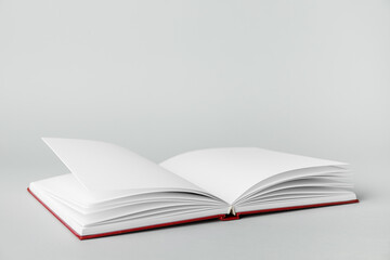 Open book on light background