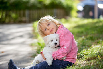 Child, cute boy, playing with dog pet in the park, maltese dog and kid enjoying friendship