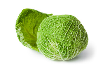 Cabbage
