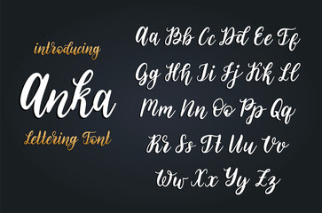Obraz premium Calligraphic font in vector. Hand written alphabet