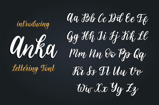 Calligraphic font in vector. Hand written alphabet