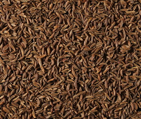 Cumin, caraway seeds background and texture