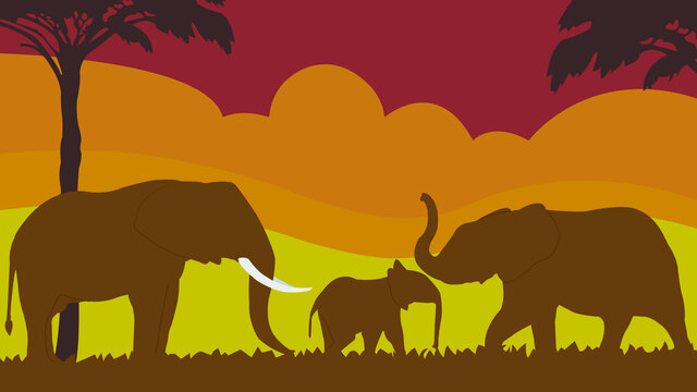 Full frame silhouette family of elephant in the grassland on multicolor background.