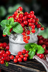 Fresh red currants in a Cup on a dark rustic wooden table. Background with space for copying. Selective focus.