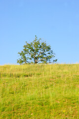 Naturaleza en Francia