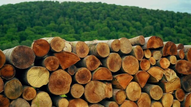 close up panorama firewood stacked in a row outdoors on the background green forest