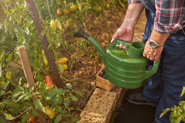 Responsible gardener bringing water for his plants