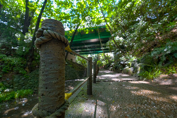 【東京都】等々力渓谷【2020】