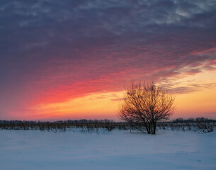 Fototapeta na wymiar Breathtaking burning sunset sky over snow covered field
